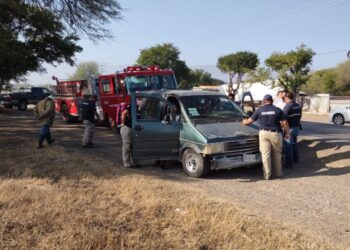 Abejas atacan a familia