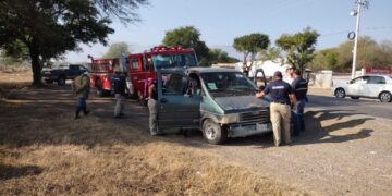 Abejas atacan a familia