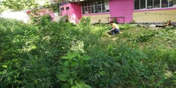 Preparan rescate de escuelas