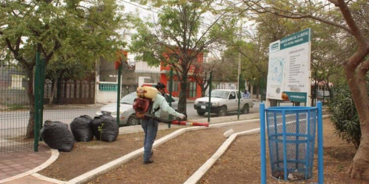 Fumigan áreas del deporte municipal