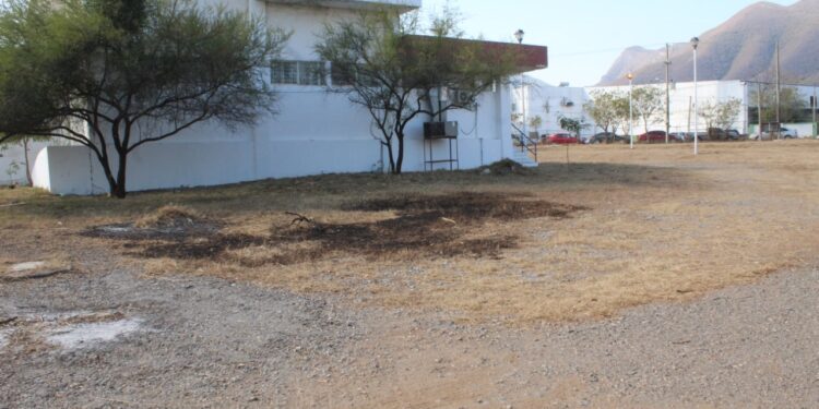 Continúan labores de mantenimiento en espacios públicos deportivos