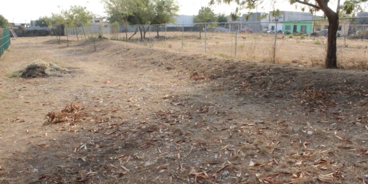 Continúan labores de mantenimiento en espacios públicos deportivos