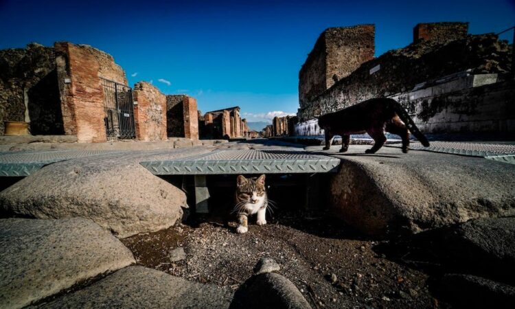 Museo de Pompeya se renueva