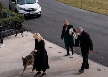 Regresan perros guardianes a La Casa Blanca