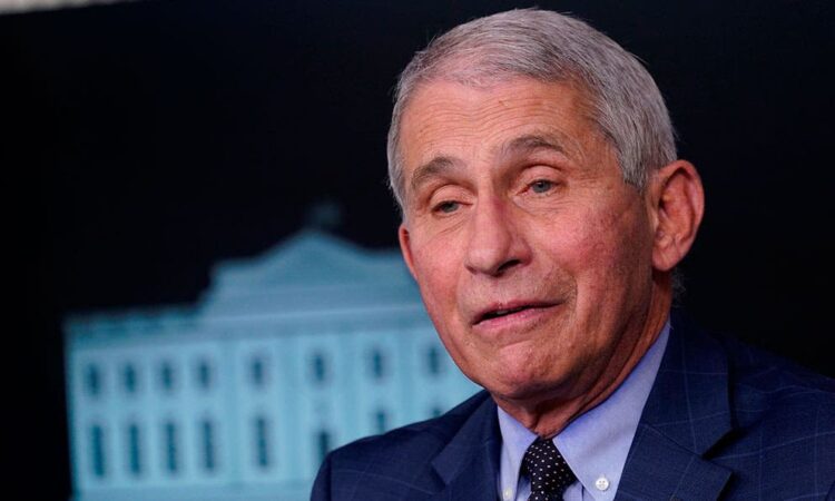 Fauci pide asumir que cepa británica tiene poder para ‘causar más daño’