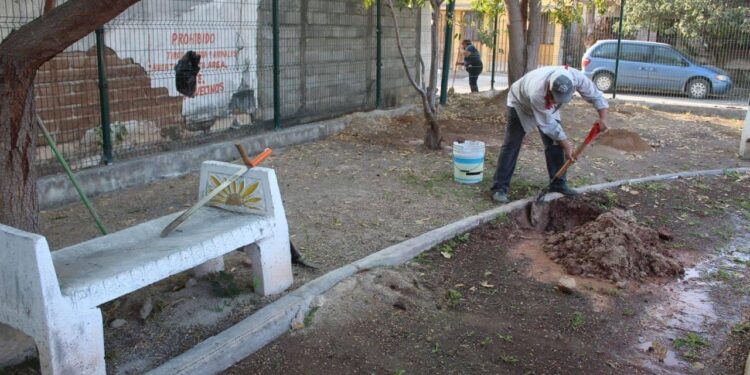 Acelera Municipio de Victoria limpieza en unidades deportivas