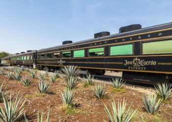 Tren tequilero en Jalisco reabre sus puertas