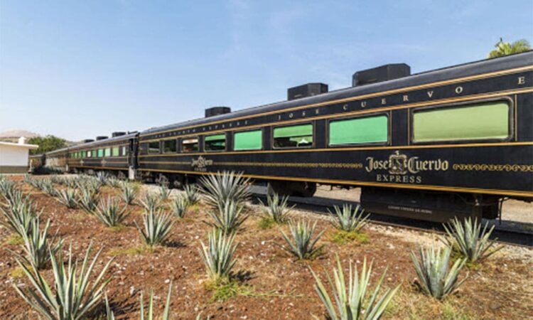 Tren tequilero en Jalisco reabre sus puertas