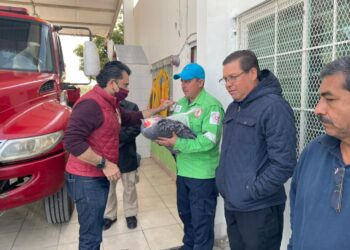 Se registra este miércoles Lalo Gattas a contienda de Morena