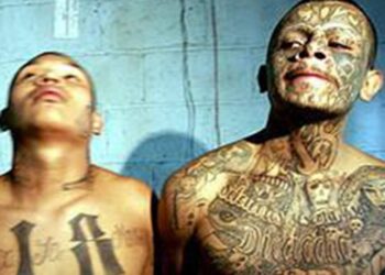Redada contra la MS-13 en El Salvador; caen 100 maras