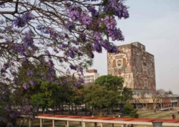 UNAM y Harvard trabajan en tratamiento para pacientes covid