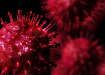 Hallan nueva cepa de coronavirus en Europa