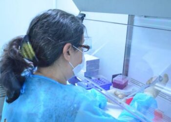 Dan de alta a paciente de nuevo Covid