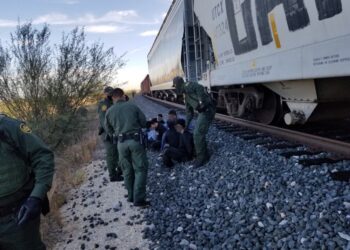 Bajan de la “bestia” a 14 indocumentados