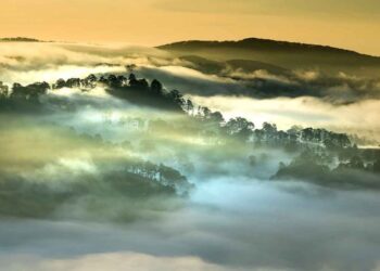Cae México en rating de acciones de gobierno frente al cambio climático