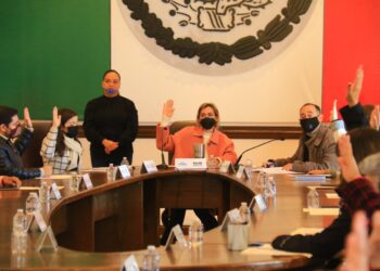 Propone Ayuntamiento consulta pública para reglamento de COPLADEM