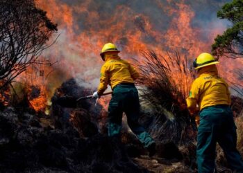 Tras heladas, alertan de temporada crítica de incendios forestales en México
