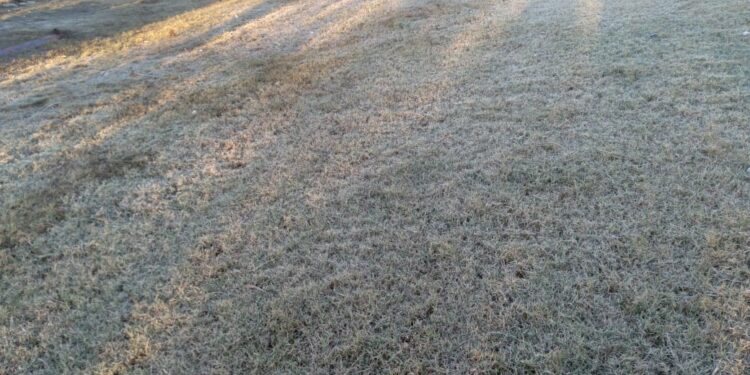 Urgente atender desastre agropecuario de Tamaulipas, demandan líderes del sector