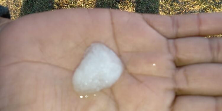 Urgente atender desastre agropecuario de Tamaulipas, demandan líderes del sector