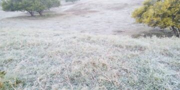 Urgente atender desastre agropecuario de Tamaulipas, demandan líderes del sector