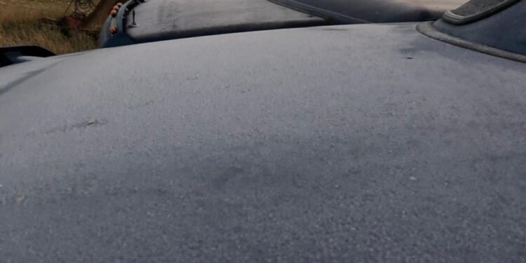 Urgente atender desastre agropecuario de Tamaulipas, demandan líderes del sector