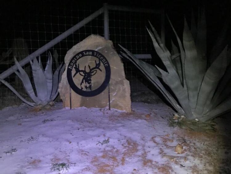 Reporta ganadería daños mínimos por frente frío en Nuevo Laredo