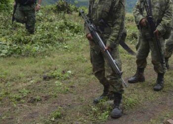 Ejército destruye 4 hectáreas de sembradíos de ‘coca’ en Guerrero