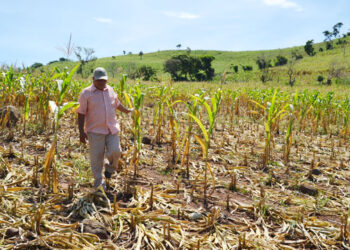 Prevén menos lluvias del promedio histórico en marzo y abril en norte de México