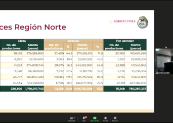 Productores del norte reciben apoyos de Producción para el Bienestar