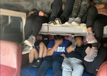 Cae grupo de 75  indocumentados en trailer