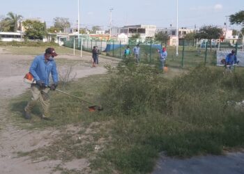 Con acciones de limpieza atiende Gobierno de Matamoros áreas verdes en colonias