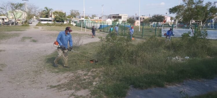 Con acciones de limpieza atiende Gobierno de Matamoros áreas verdes en colonias