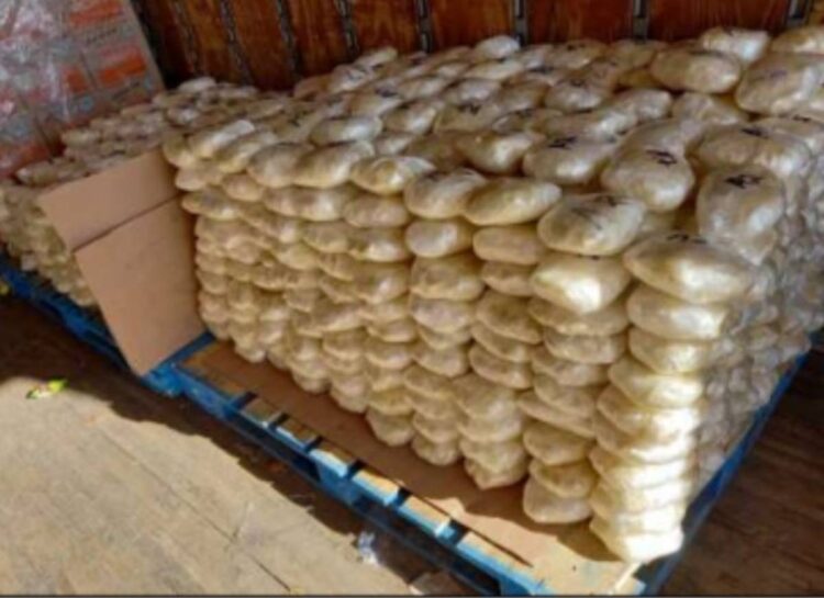 Aseguran droga valuada en 191 millones de pesos en Baja California