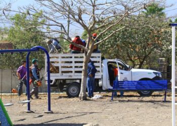 Gobierno de Victoria rehabilita áreas verdes de Colinas Del Valle