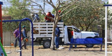 Gobierno de Victoria rehabilita áreas verdes de Colinas Del Valle