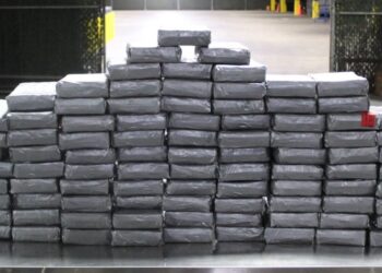 Interceptan cocaína por 2 millones de dólares en puente Mundial del Comercio