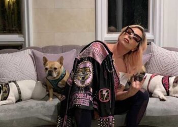 Lady Gaga recupera sus perros robados