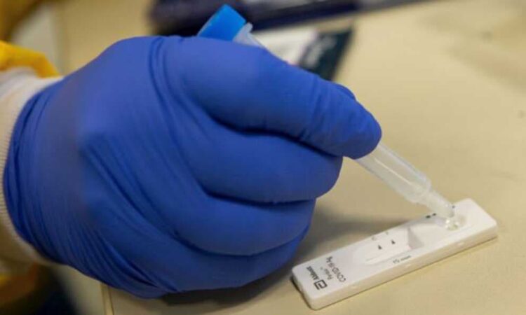 Confirman cepa Sudafricana en Nueva York