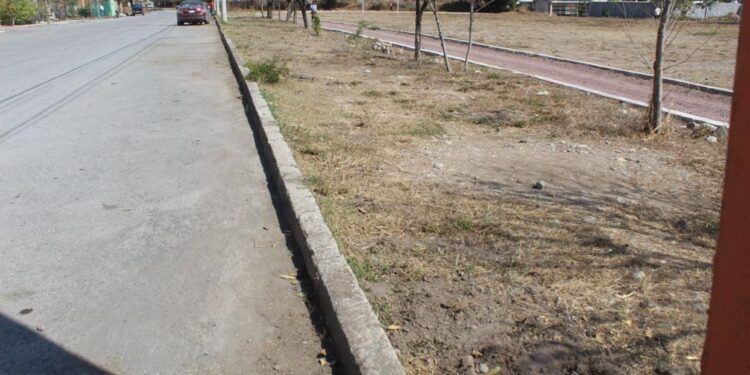 Siguen labores de limpieza en áreas deportivas del Municipio de Victoria