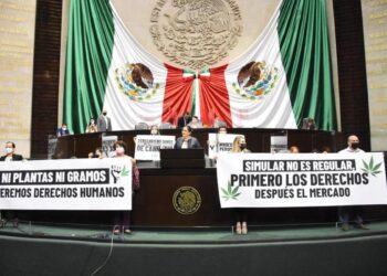 Mariguana aprobada para uso recreativo en México; dictamen regresará al Senado