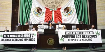 Mariguana aprobada para uso recreativo en México; dictamen regresará al Senado