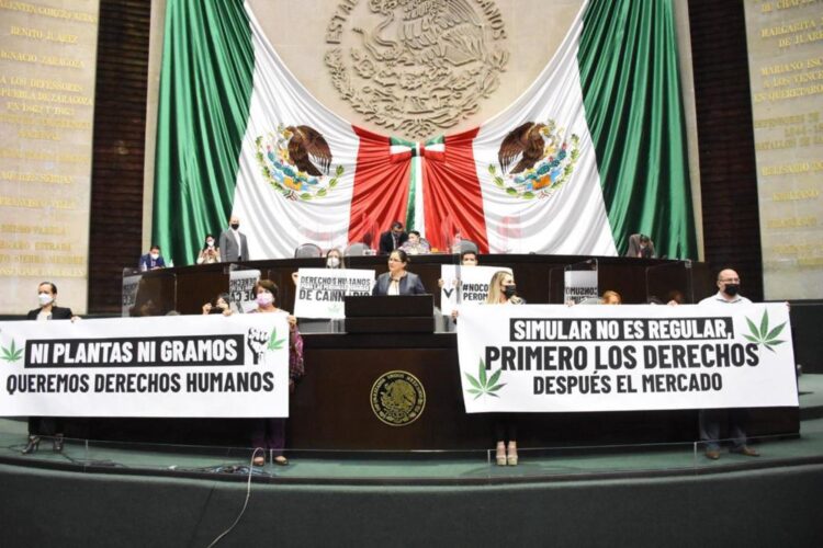 Mariguana aprobada para uso recreativo en México; dictamen regresará al Senado
