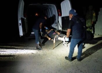 Ejecutan a 5 y queman casa de seguridad en Miguel Alemán, Tamaulipas