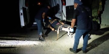 Ejecutan a 5 y queman casa de seguridad en Miguel Alemán, Tamaulipas