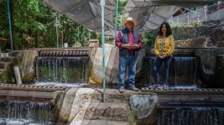 Buscan unir esfuerzos para elevar el consumo de pescados y mariscos en México