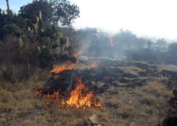 Alerta PCyB por incendios de zacatales en Nuevo Laredo