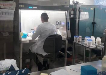 Reportan hoy 21 contagios y un muerto de COVID en Tamaulipas