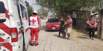 Menor persigue a gato y cae de una barda