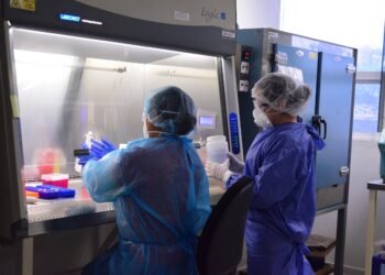 Drástica caída de contagios de Covid en Tamaulipas, reportan hoy solo 22