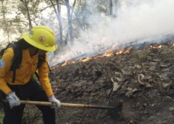 Alerta CONAFOR contra incendios forestales, pide precaución